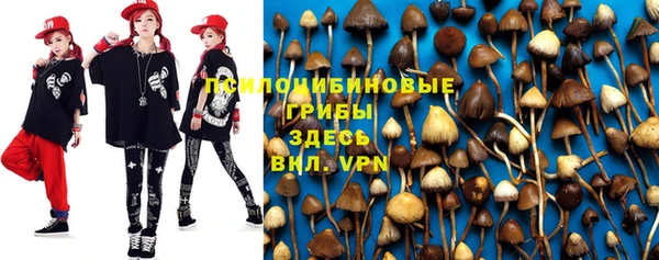 прущая мука Балахна