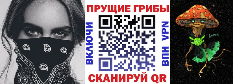 Купить закладки  Дегтярск  Галлюциногенные грибы мухоморы 